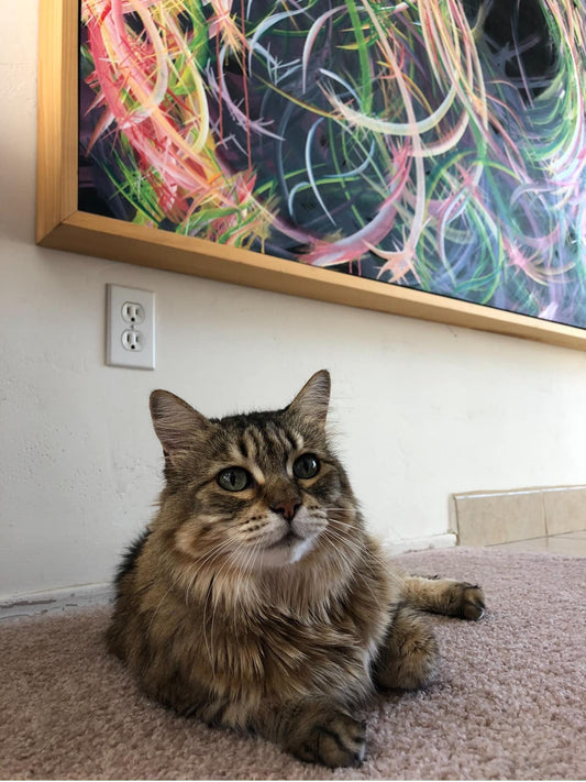 Carini Arts Loses A Fur Friend