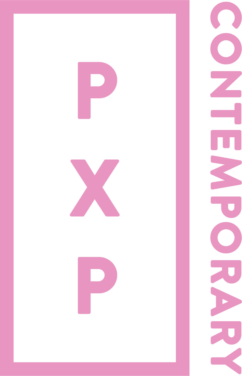 Michael Carini at PXP Contemporary