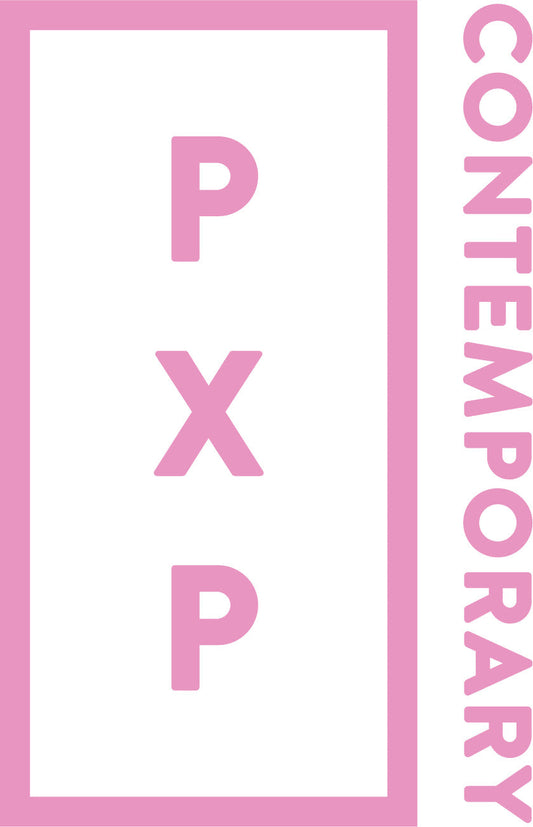 Michael Carini at PXP Contemporary