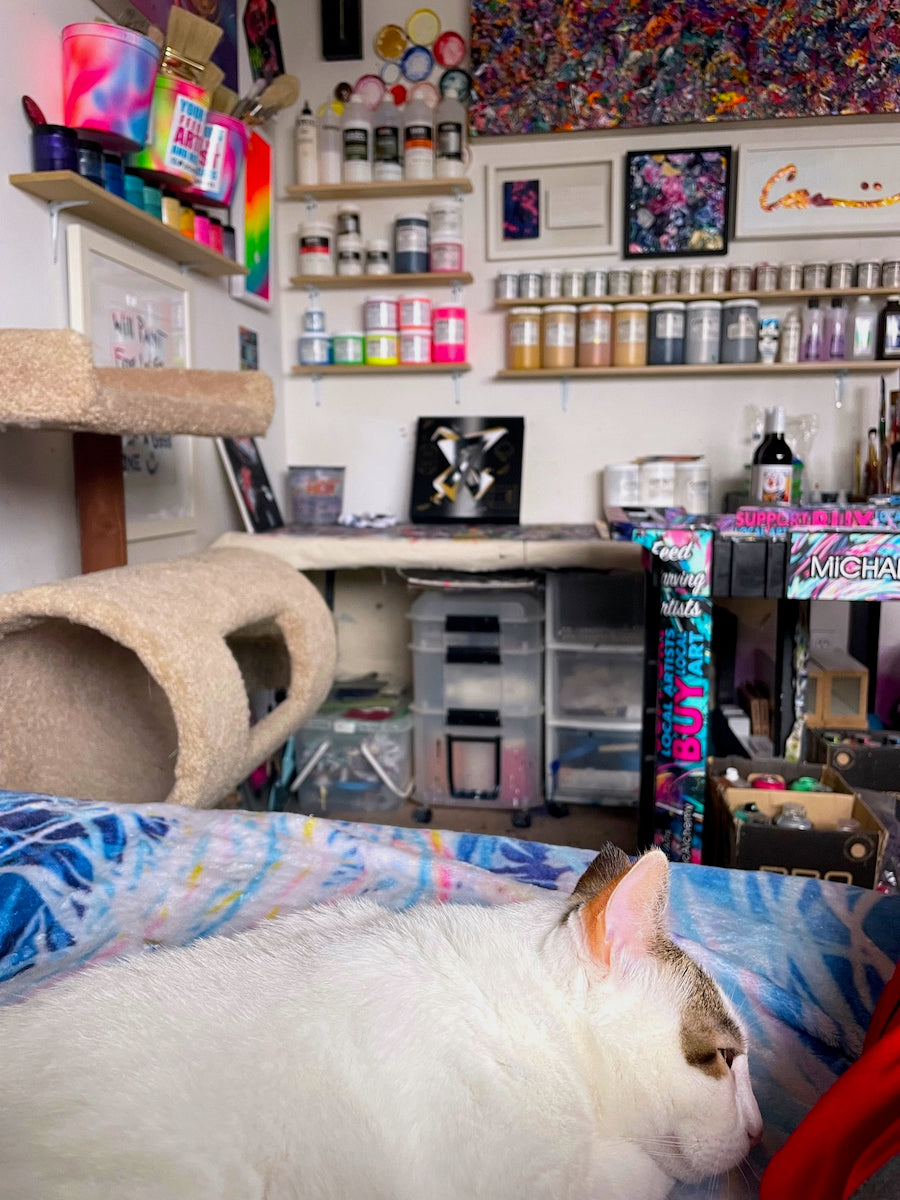 Carlsbad art and decor by socal artist Michael Carini