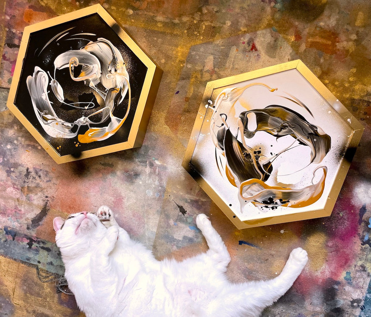 Braska showing off these abstract hexagon paintings for sale from Carini Arts and Michael Carini.