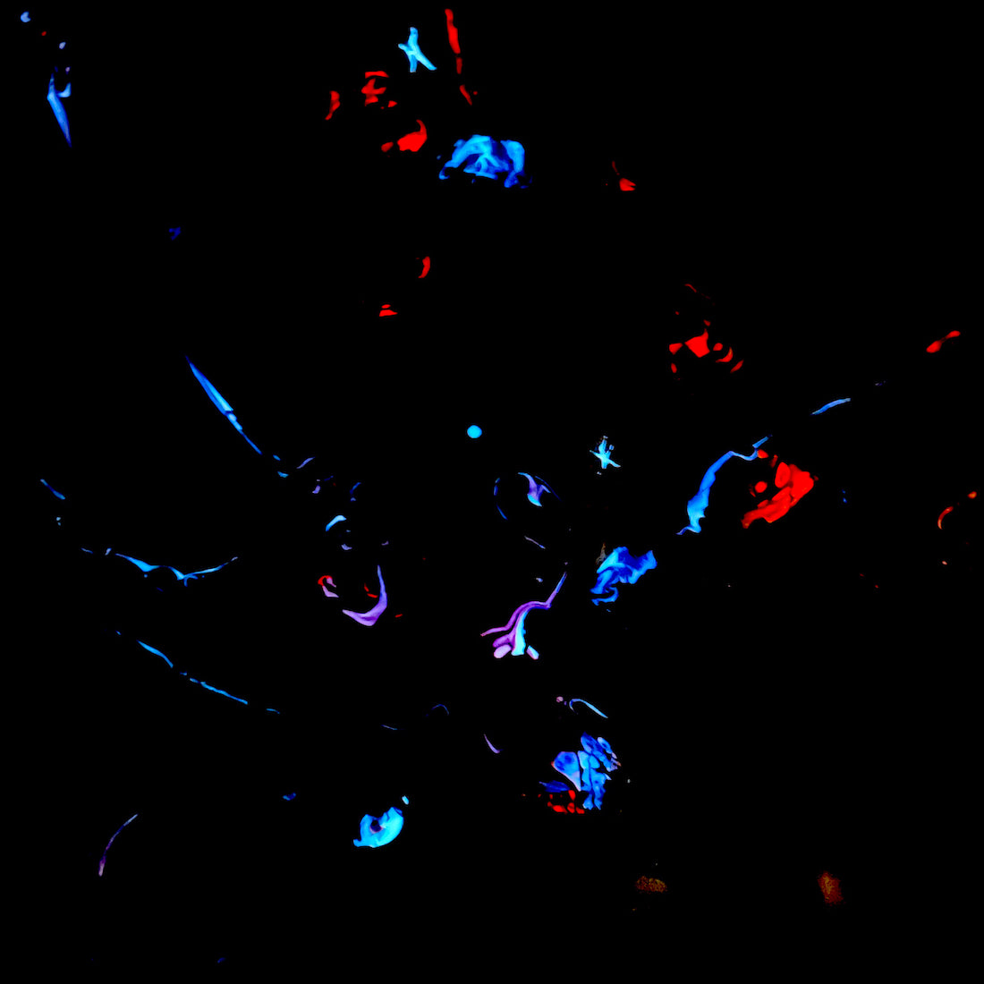 glow in the dark art simulating brain activity after Michael Carini's violent car crash